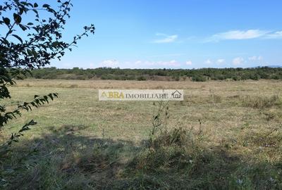 Teren intravilan investitie turism balnear fonduri europene - 3