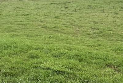 Spațiu comercial, în Hipodrom - 4