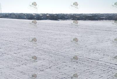 Teren 9360 mp de vânzare în Berceni, Ilfov – Ideal pentru dezvoltare PUZ - 7