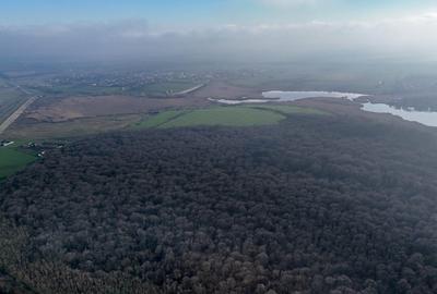 Teren de 16900 mp, în Grădiștea - 7