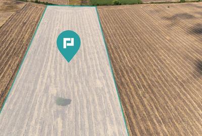 Oportunitate! Teren 4.345 mp - Șagului Oportunitate! Teren 4.345 mp - Șagului - 5