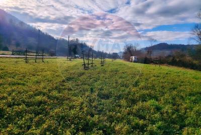 COMISION 0%  Teren intravilan de vanzare in Barsana (26 ARI) - 10