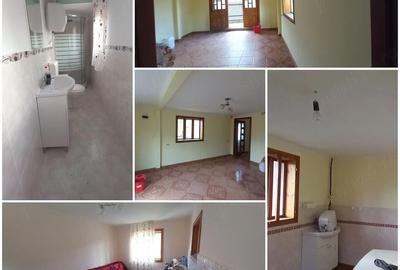 Casă cu Teren 750 Mp în Paltin - 5