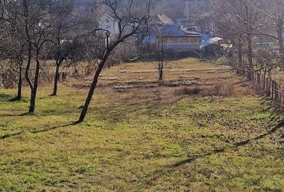 Teren de 2486 mp, în Central - 5