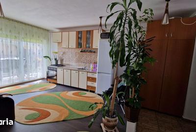 Apartament cu 2 camere semidecomandat în Chinteni - 6