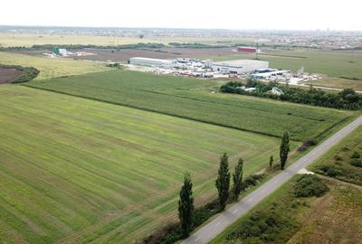 Teren Construcții intravilan de 12900 mp, în Sânandrei