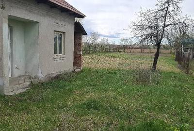 Casă cu 3 camere cu Teren 1000 Mp în Bratia din Deal - 1
