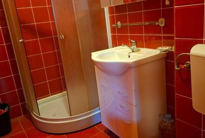 Apartament cu 2 camere semidecomandat în Dorobanți - 3