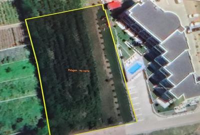Teren Construcții intravilan de 2000 mp, în Tâncăbești - 4
