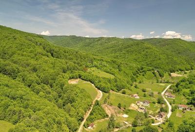 Teren Construcții extravilan de 16000 mp, în Poiana Mărului - 3