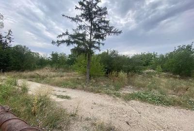 Teren de 100000 mp, în Central - 7