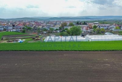 Teren de vanzare in Apahida - 5