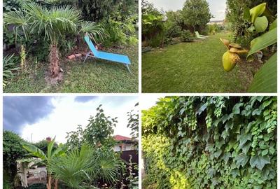 Oradea casa situata central pentru afacere sau locuinta Oradea casa situata central pentru afacere sau locuinta - 1