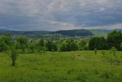 TEREN DE VANZARE PENTRU INVESTITII IN MANASTIREA CASIN - 2