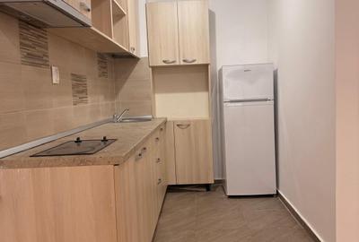 Apartament cu 2 camere decomandat, mobilat în Alba Iulia - 9
