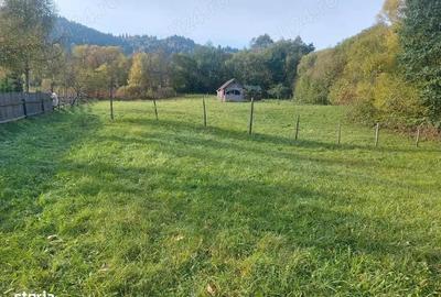 Spre vanzare proprietate 4688 mp in Campulung Moldovenesc - 12