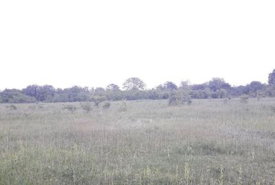Teren de 2557 mp, în Iazu - 6