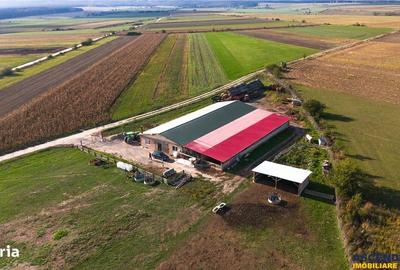 Teren de 18000 mp, în Feldioara - 9