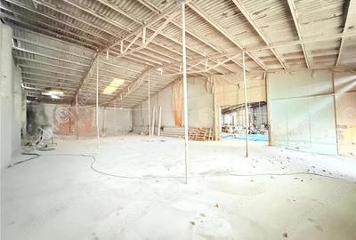 Hala industriala de inchiriat in Cisnadie 1173 mp - 8