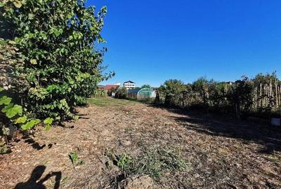 Teren de vanzare in zona Ostroveni - 7