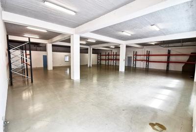 Spațiu industrial, de 500 mp, în Torontalului