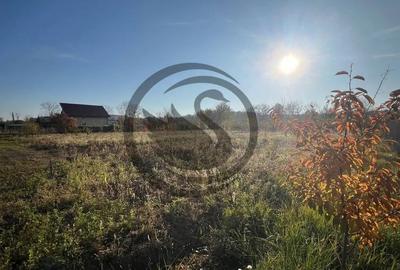 Teren de 12650 mp, în Ghirdoveni - 6