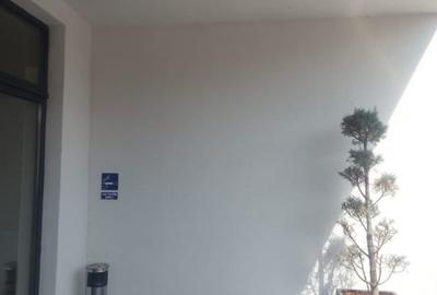 Spatiu comercial de inchiriat zona centrala Eroilor 140mp - 8