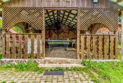 Cabana de vanzare -Marisel, 10 camere, terasa 41mp, piscina, ciubar - 8