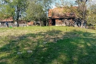 Teren de 9730 mp, în Țebea - 6