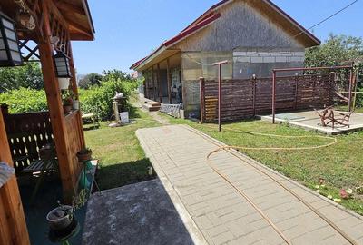 Casă cu 4 camere cu Teren 1900 Mp în Smeeni - 6