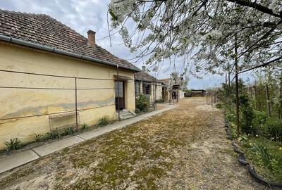 Vand casa in Judetul Arad - 5