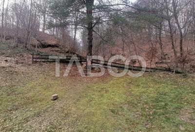 Pensiune de lux de vanzare in inima padurii langa Sibiu - 27