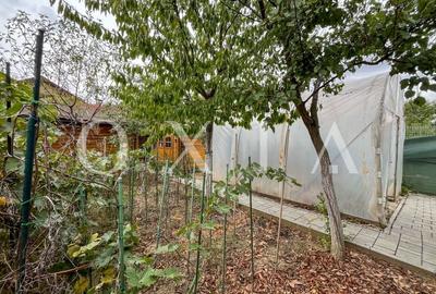 SX636 Dumbravita Padure - Teren Generos - Disponibil Imediat - 26