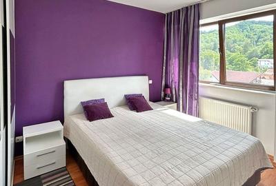 Apartament cu 2 camere decomandat, mobilat în Noua - 4