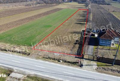 Spațiu comercial, în Băiculești - 8