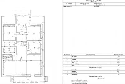 Casă individuală cu 5 camere cu Canalizare în Sud - 27