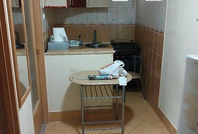 Apartament cu 2 camere decomandat în Rogerius - 10