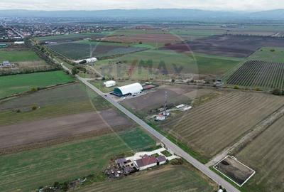 Teren 1,800mp Mircestii Vechi / DJ 204E - 2