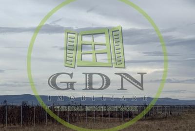 Terenuri extravilan  | 1000 mp, 2000 mp  | Valea Avrigului - 3