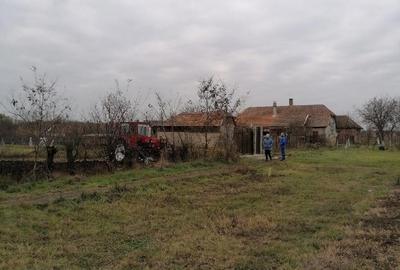 Teren de 1460 mp, în Satchinez - 5