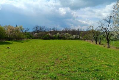 Casă individuală cu 4 camere cu Teren 4239 Mp în Bădeni - 4