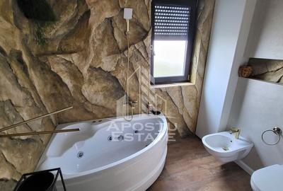 Apartament cu 3 camere decomandat în Lipovei