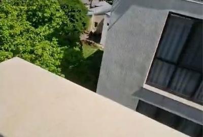 Apartament cu 3 camere decomandat în Nord - 1