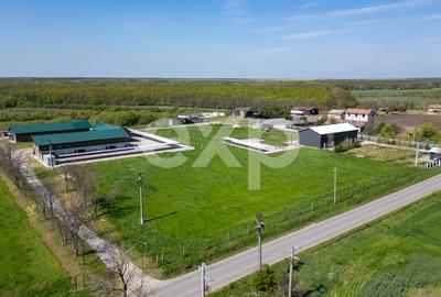 Teren Construcții intravilan de 105000 mp, în Crânguri - 15