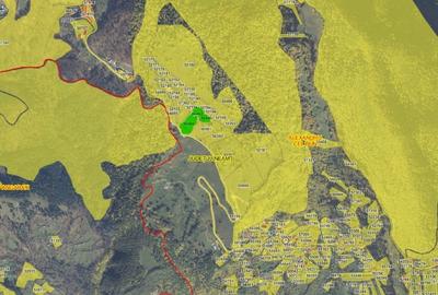 TEREN INTRAVILAN 15.379 MP - zona Scaricica, Alexandru cel Bun, Neamt - 2