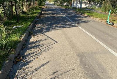 Teren de 10198 mp, în Bujac - 1