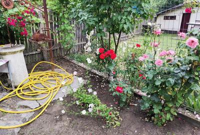 Teren cu casa de vanzare - 7