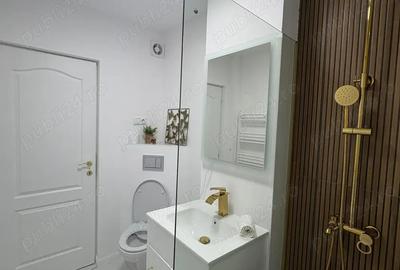 Apartament cu 2 camere în Burdujeni - 4