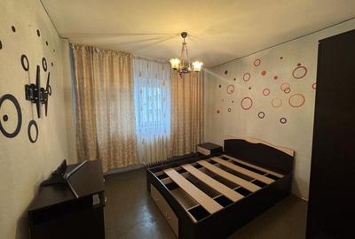 2 Camere Campia Libertatii Pet friendly - 4