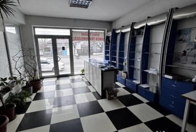 Spațiu comercial, de 220 mp, în Brestei - 10